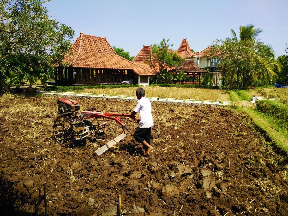 Java Village Resort By Homee Yogyakarta Sleman  Zewnętrze zdjęcie